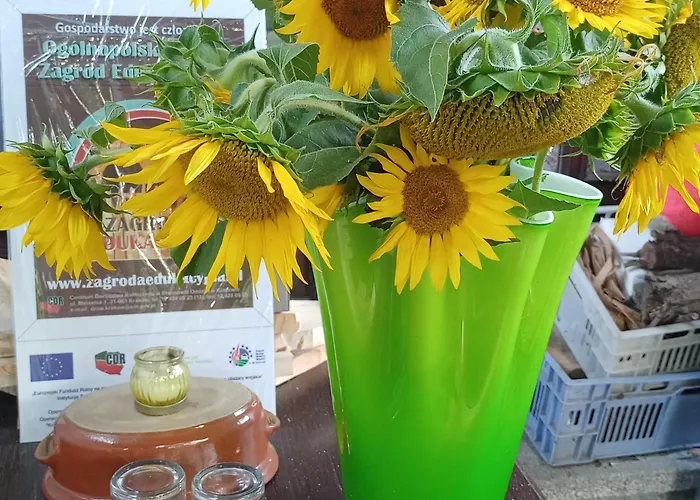 Agroturystyka Janiczek Tuchow